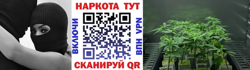 Наркотические вещества Таруса KRAKEN ТОР Меф мяу мяу Гашиш Кокаин