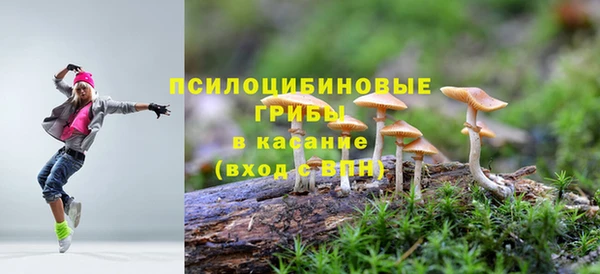 круглые Алексин