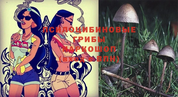 прущая мука Протвино