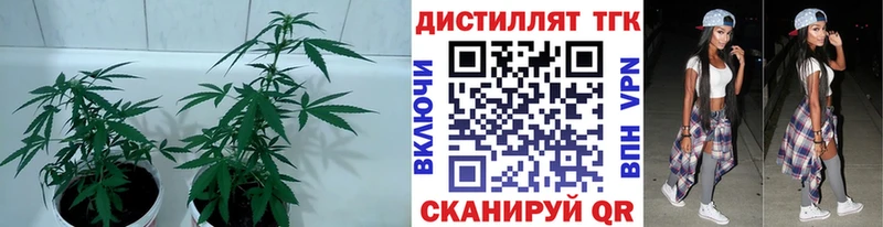 MEGA tor  Таруса  ТГК Wax 
